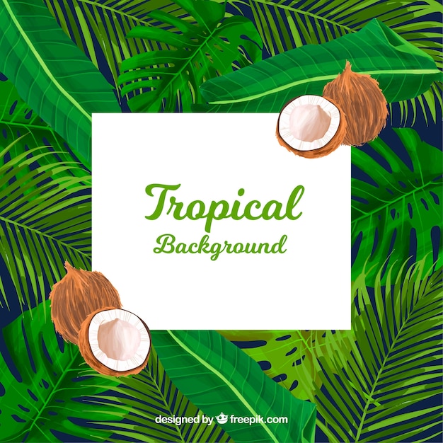 Free Vector tropical summer background with plants and coconuts