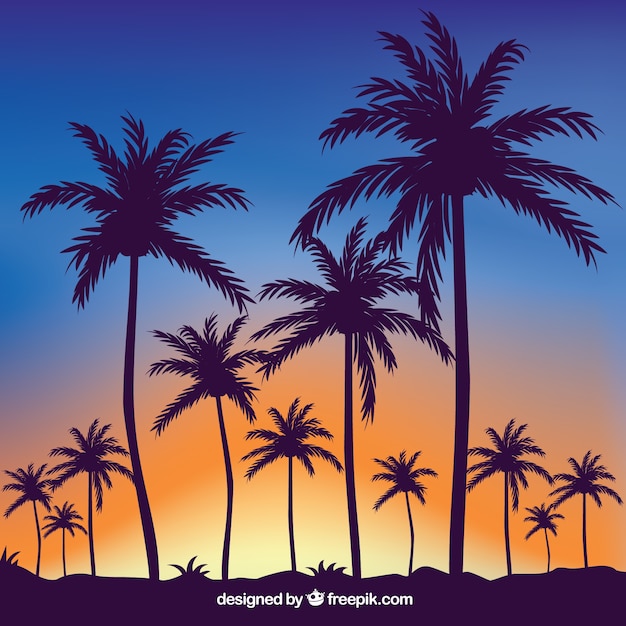 Free vector tropical summer background with silhouettes of palm trees