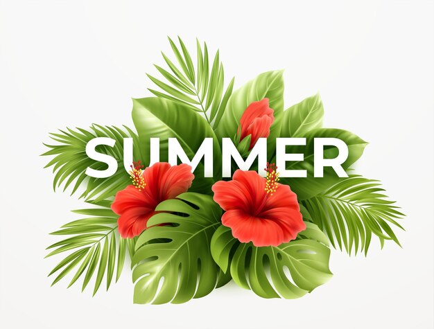 Tropical summer background