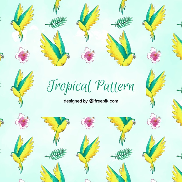 Free vector tropical summer pattern with birds and flowers