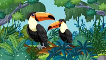 Free vector tropical toucans amidst lush foliage