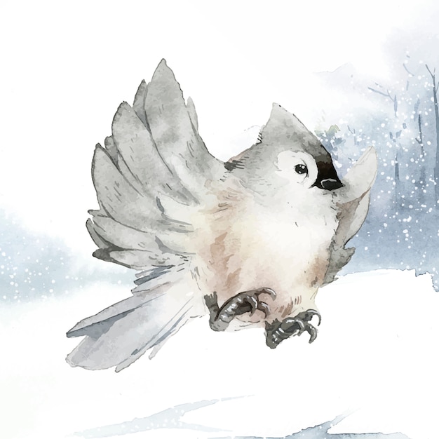 Free Vector tufted titmouse bird in wintertime watercolor vector