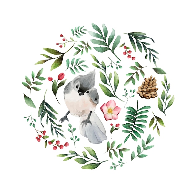 Free vector tufted titmouse bird