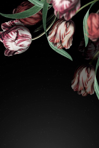 Tulip border dramatic flower background