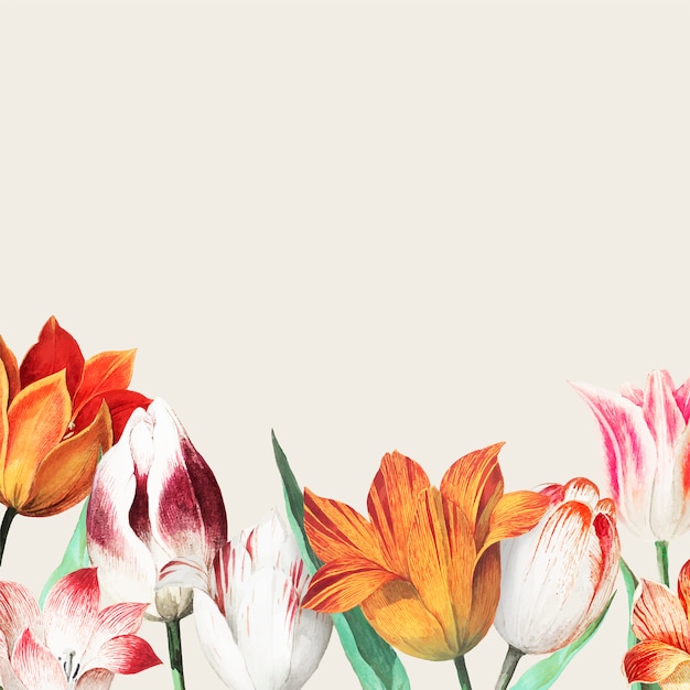 Free Vector tulip field border