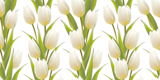 Free Vector tulip, floral background, seamless pattern.