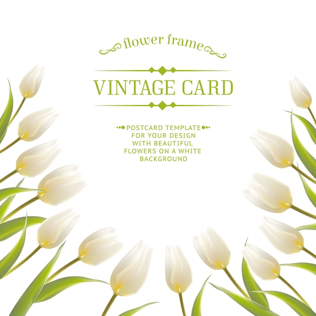 Free Vector tulip spring flowers bouquet for your card design.