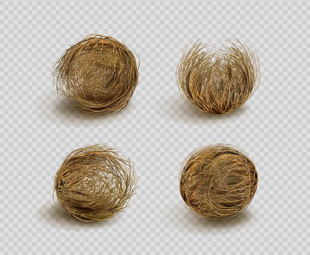 Free Vector tumbleweed dry weed ball isolated on transparent