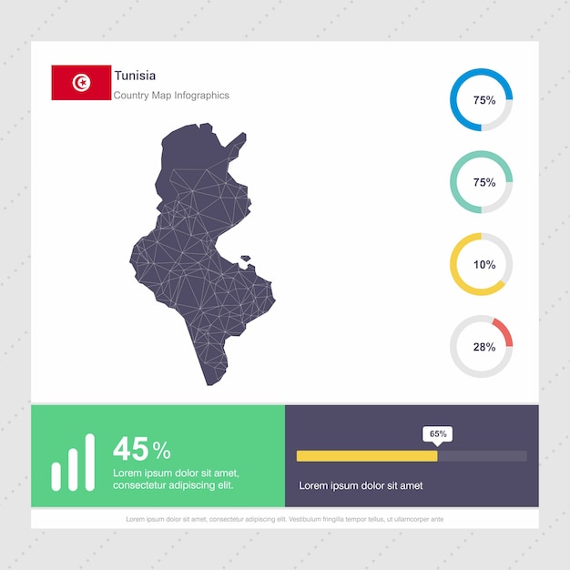 Tunisia Map & Flag Infographics template