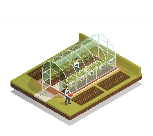 Free Vector tunnel shaped greenhouse isometric composition 