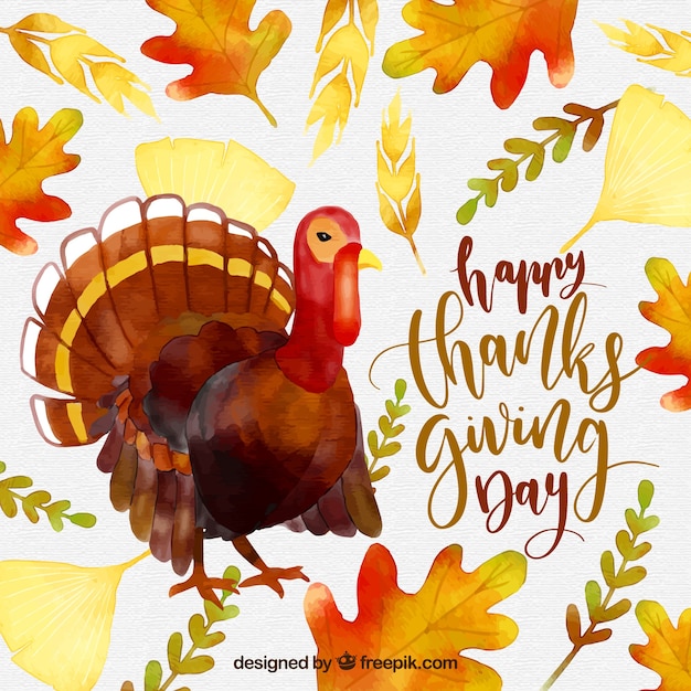 Free Vector turkey background with watercolor leaves