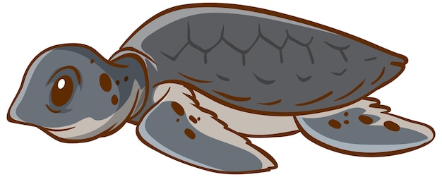 Free Vector turtle animal cartoon on white background