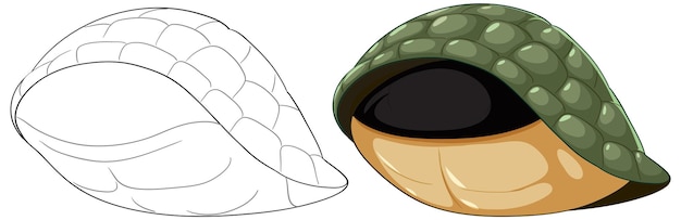 Free Vector turtle shell vector illustration