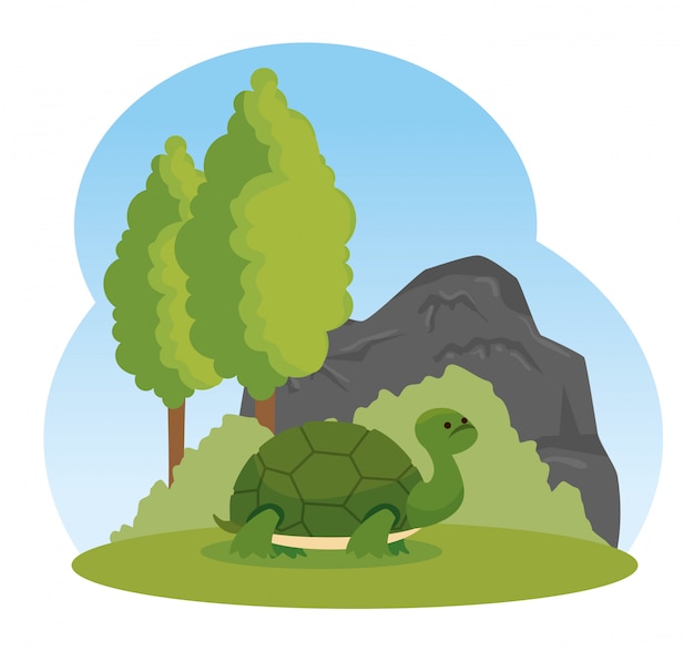 Turtle wild animal with trees and bushes