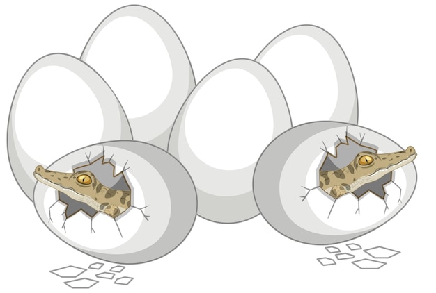 Free vector two alligators just out of egg with other eggs isolated on white background