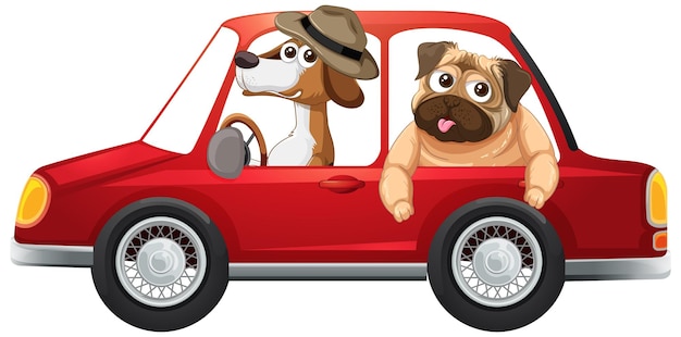 Free Vector two dogs driving red car