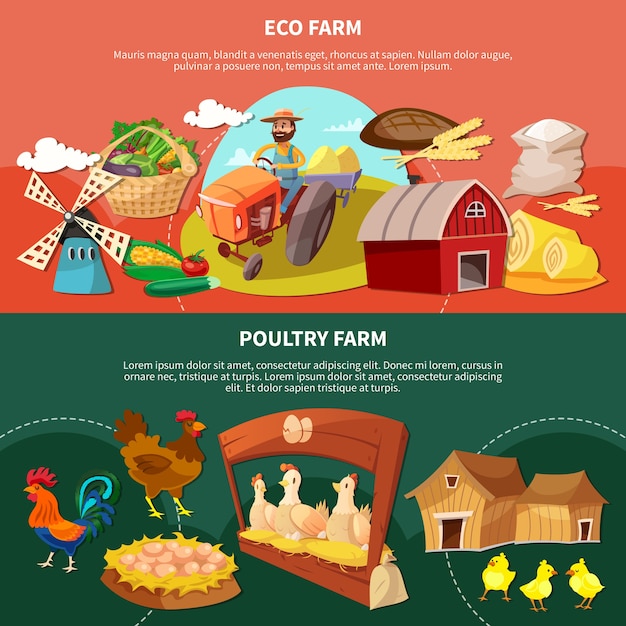 Free vector two farm colored cartoon banner set with eco and poultry farm descriptions illustration