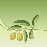 Free vector two olives on branch.