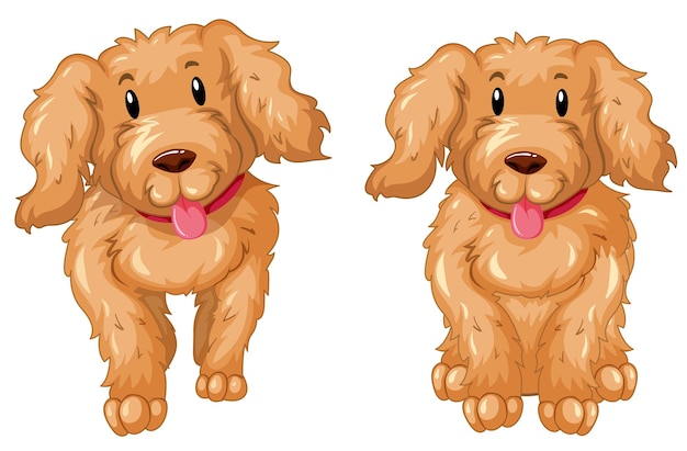 Free vector two puppies with brown fur