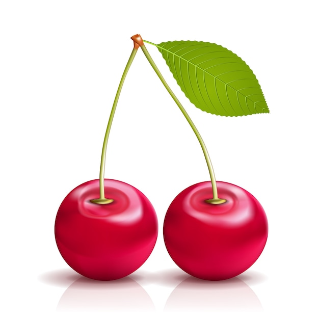 Free Vector two realistic vector cherries with leaf isolated on white background