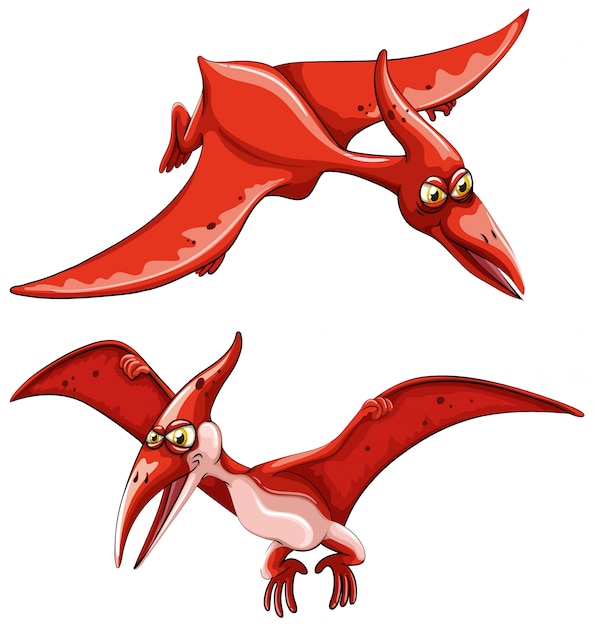 Free Vector two red flying dinosaurs