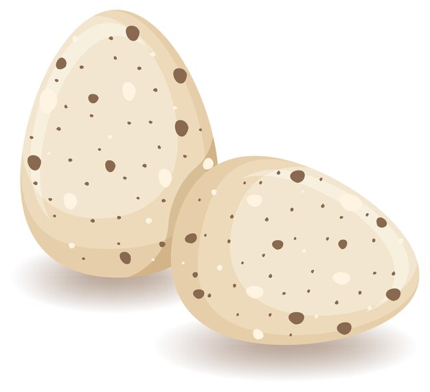 Two round eggs in brown