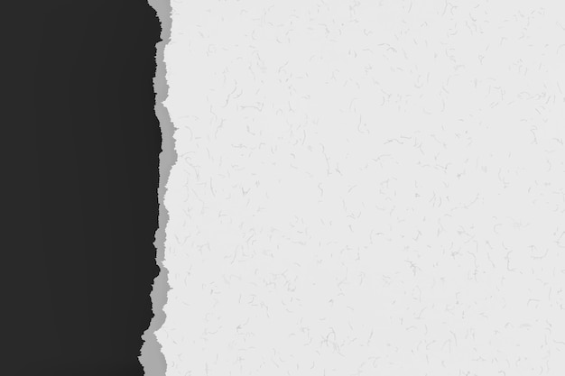 Free Vector two types of paper backgrounds