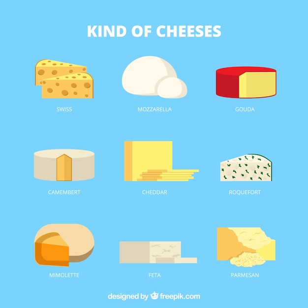 Free Vector types of delicious cheese