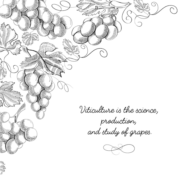 Free Vector typography design card doodle with inscription that viticulture is science