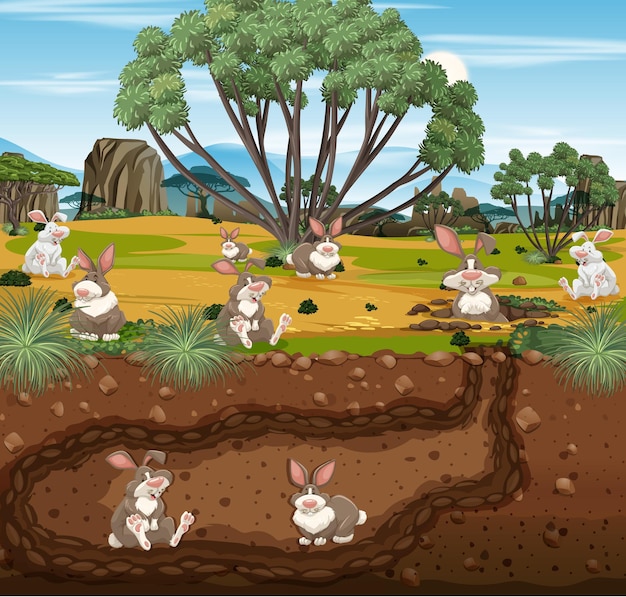 Free Vector underground animal burrow with rabbit family