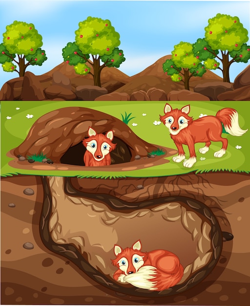 Free Vector underground animal hole with many foxes