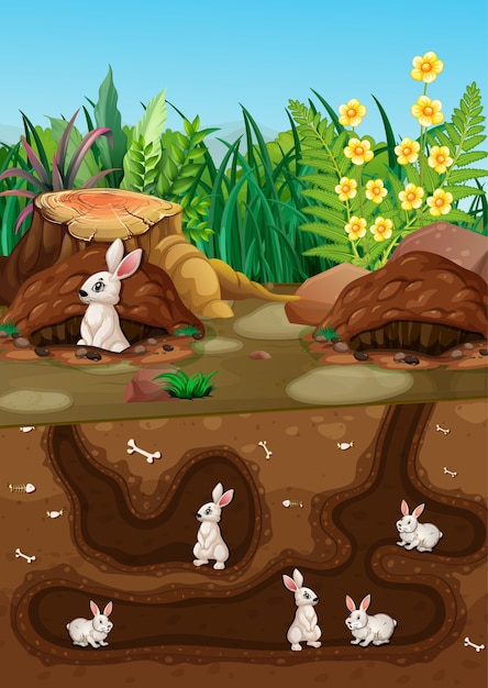 Free vector underground animal hole with many white rabbits