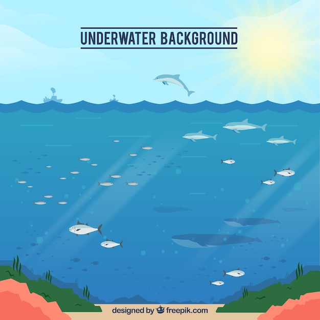 Underwater background with caricatures of aquatic animals