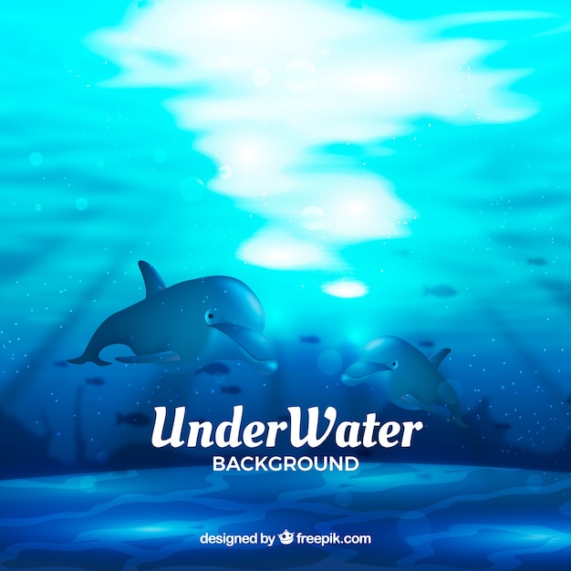 Free Vector underwater background with cute dolphins  in realistic style