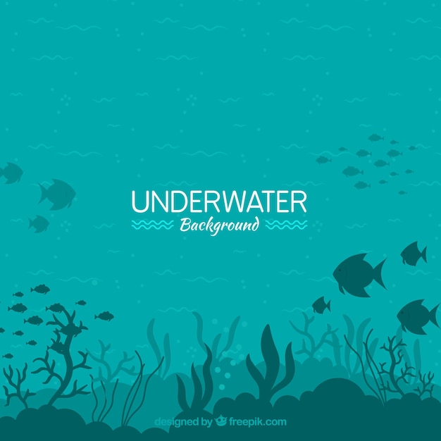 Free vector underwater background with different marine species