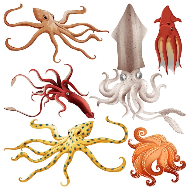 Free vector underwater creature vector set