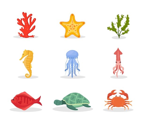 Underwater nature illustrations set Coral starfish and seaweed exotic reef flora and fauna pack tropical aquatic animals and plants medusa sea horse and squid fish turtle and crab