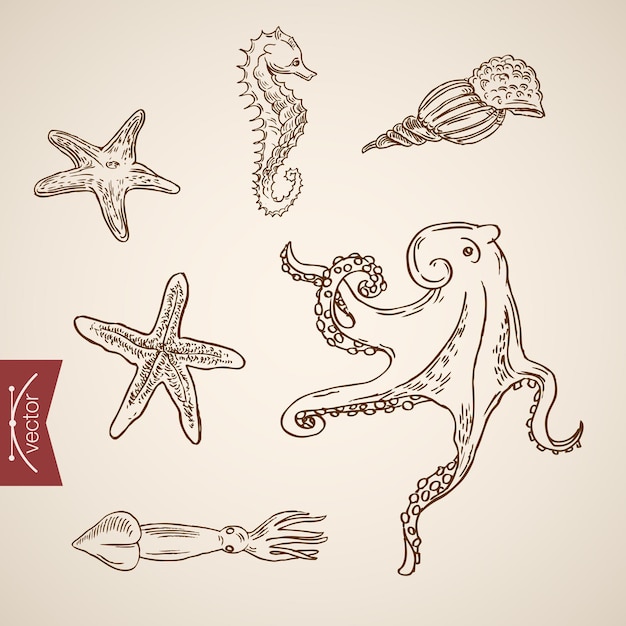 Underwater world sea life ocean icon set.