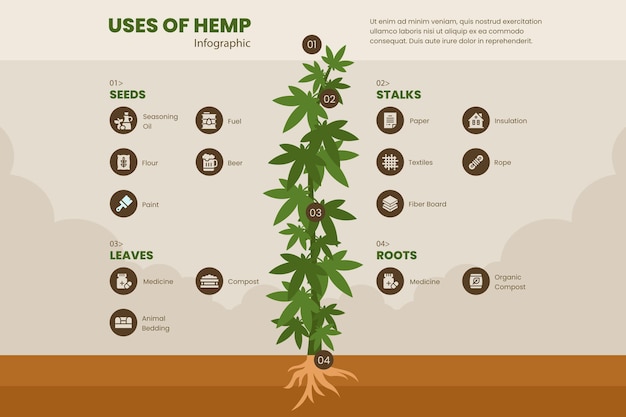 Free Vector uses of hemp - infographic