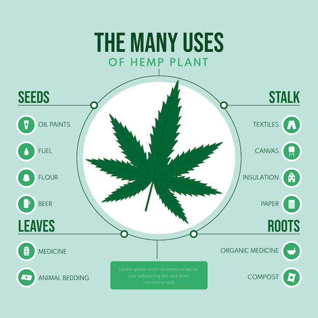 Free Vector uses of hemp plant infographic