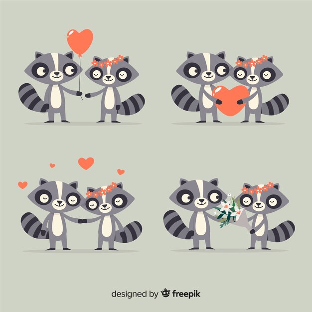 Valentine raccoon couple collection