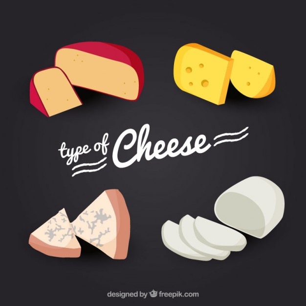 Free Vector variety of cheese