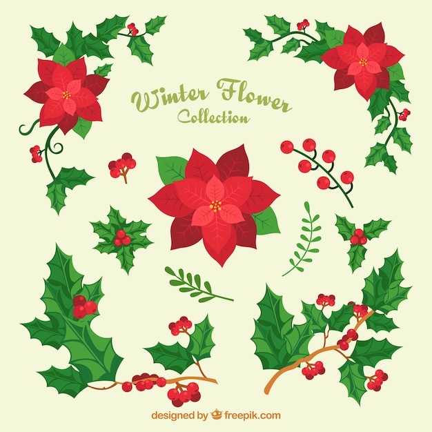 Free vector variety of christmas flowers and mistletoe