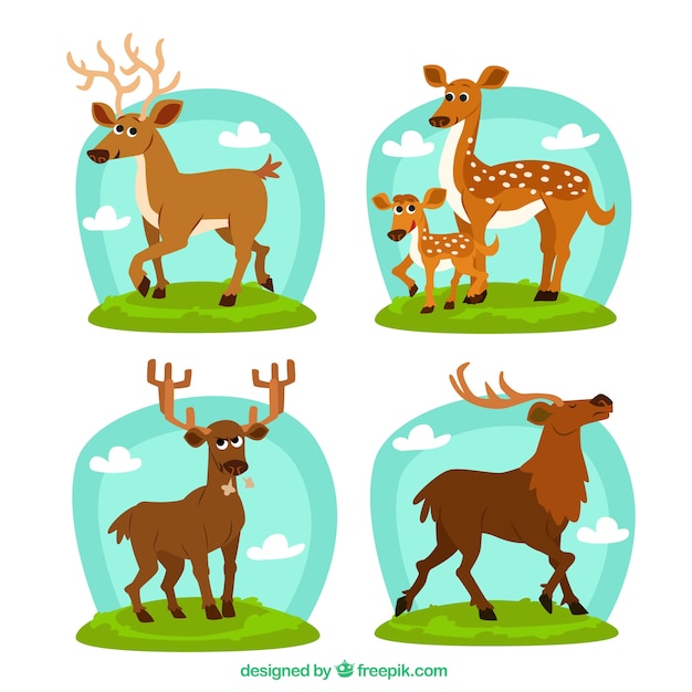 Free Vector variety of deers illustration