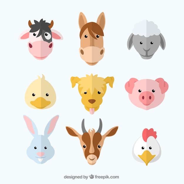 Variety of farm animals