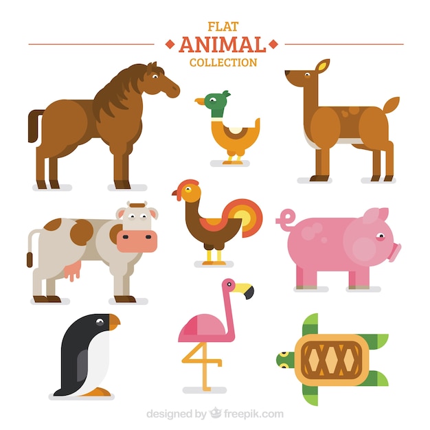 Free Vector variety of flat animals