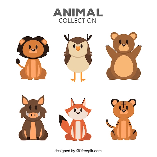 Variety of flat animals