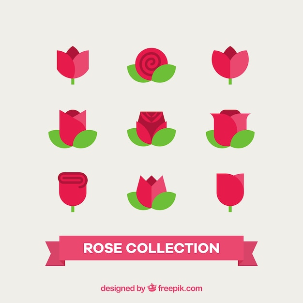 Free Vector variety of flat roses