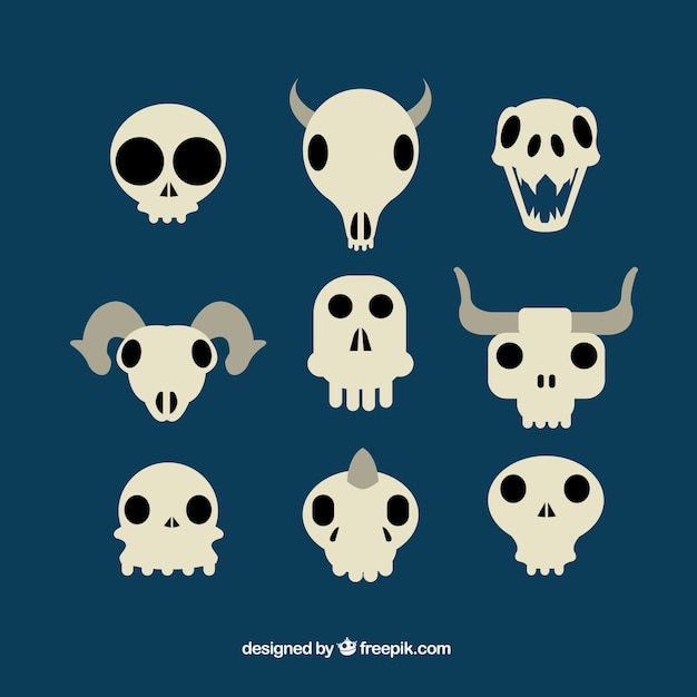 Free Vector variety of flat skulls