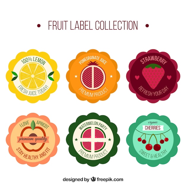 Variety of fruit labels in flat design